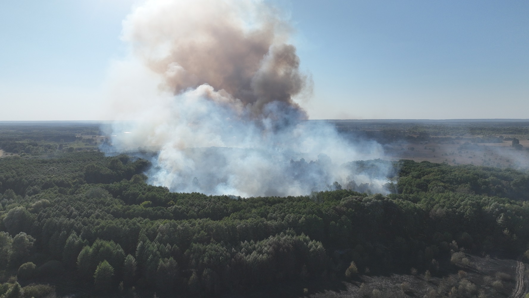 Ілюстративне фото