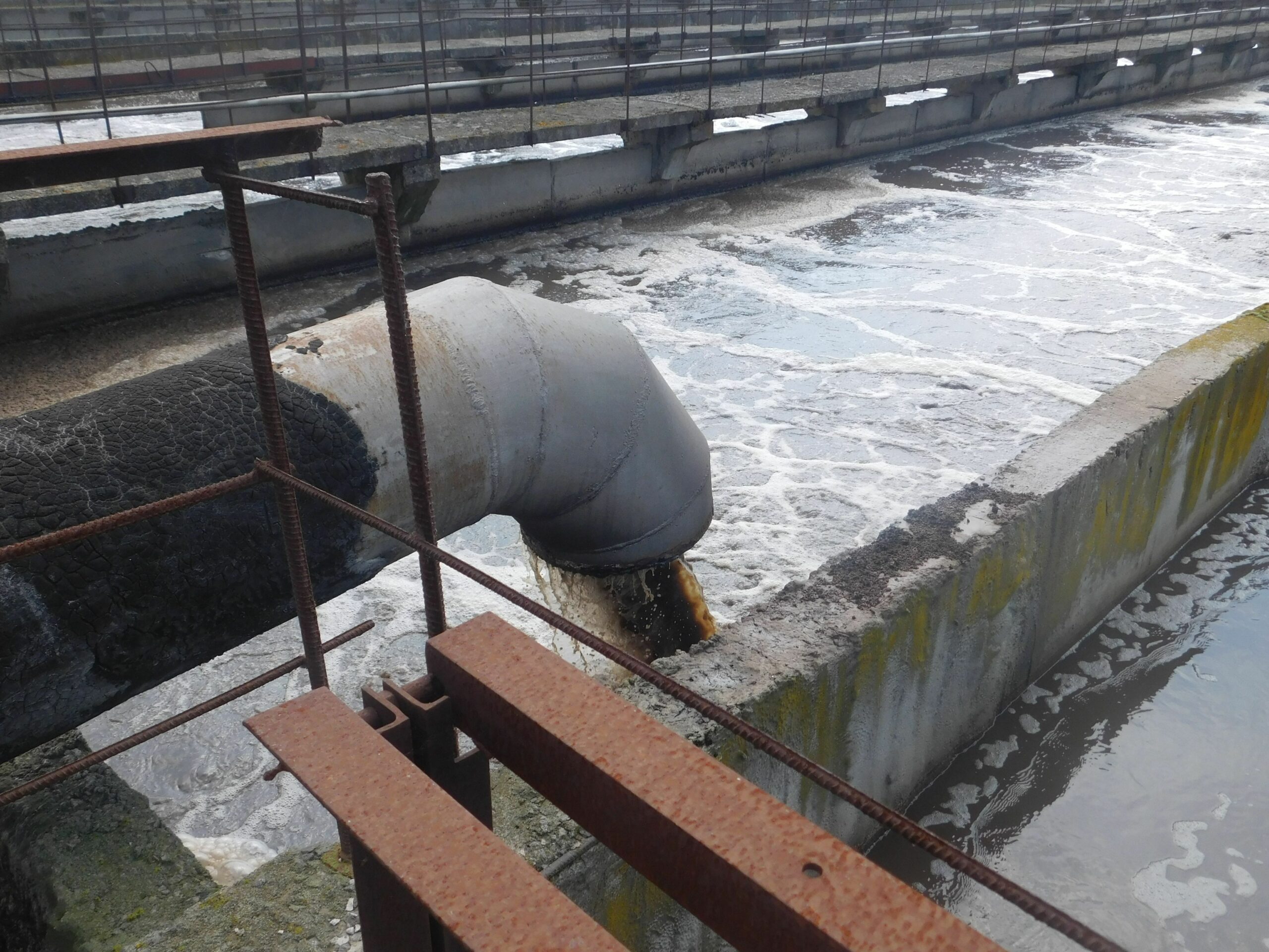 Для виявлення циркуляції коронавірусу в Полтаві дослідили неочищені стоки. Ілюстративне фото