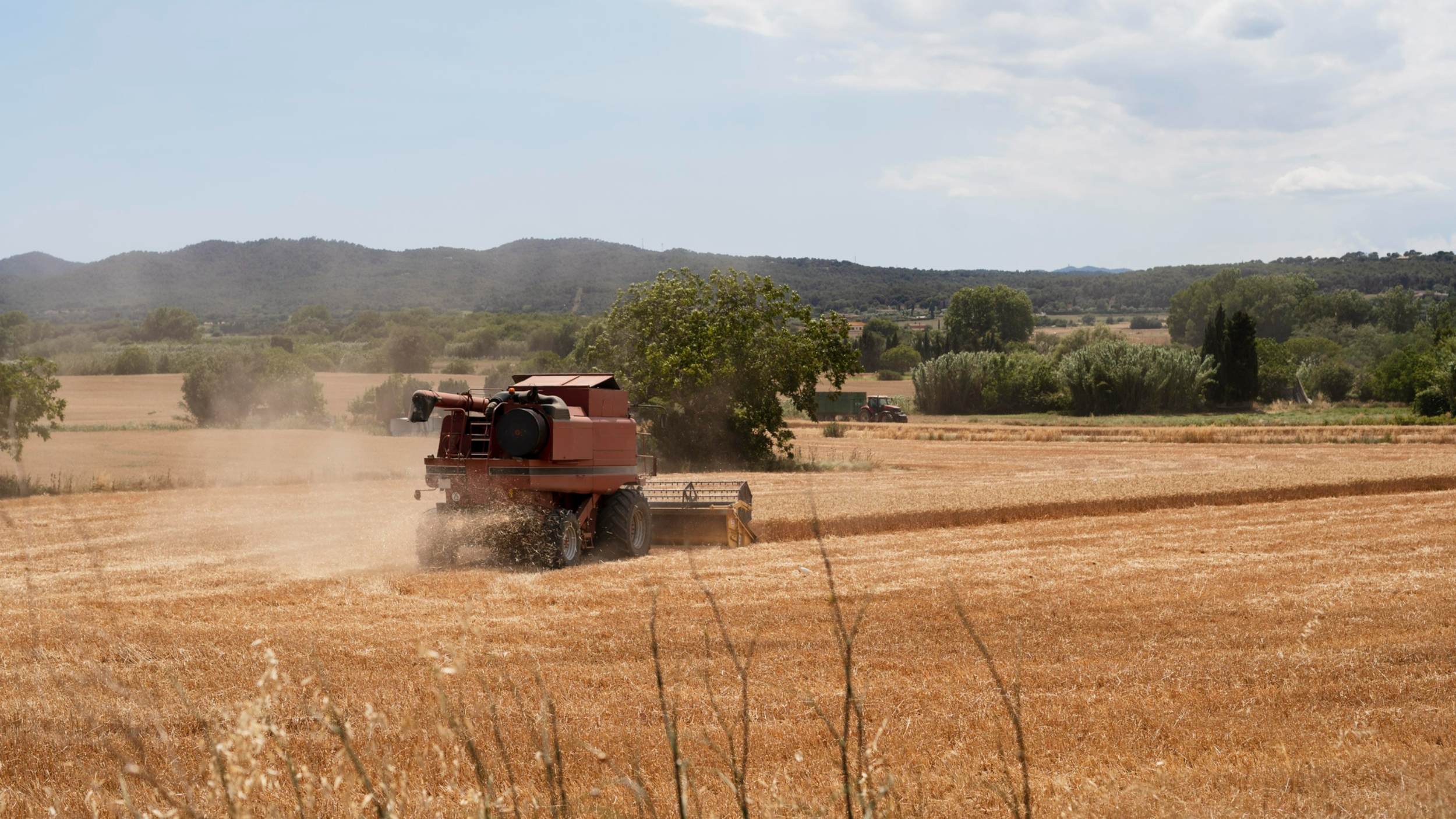 Ілюстративне фото