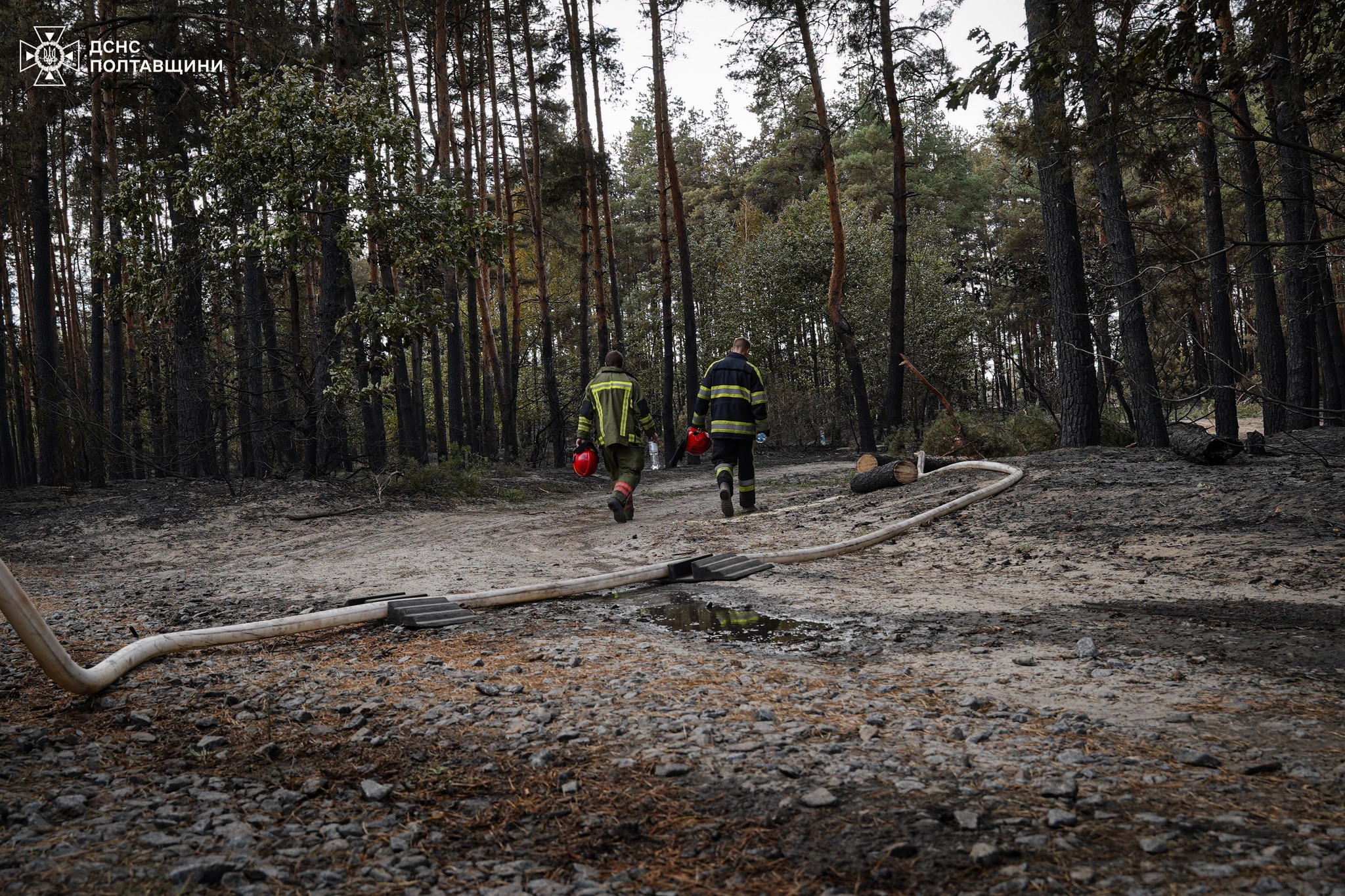 Ліквідація пожежі біля Малої Перещепини