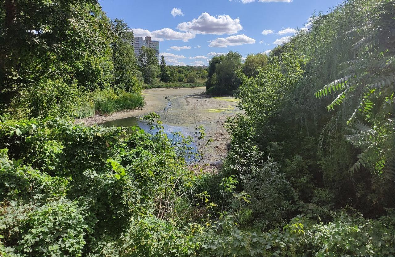 Пушкарівські ставки в Полтаві