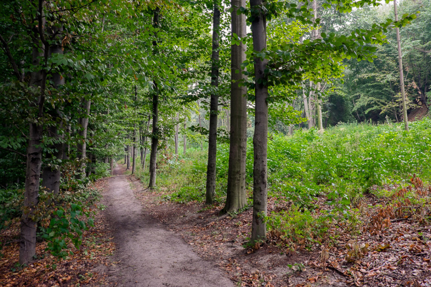 Ілюстративне фото