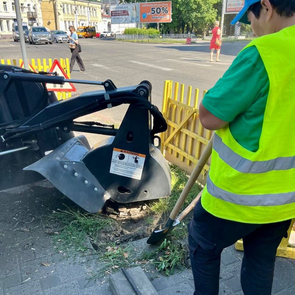 Нові дерева