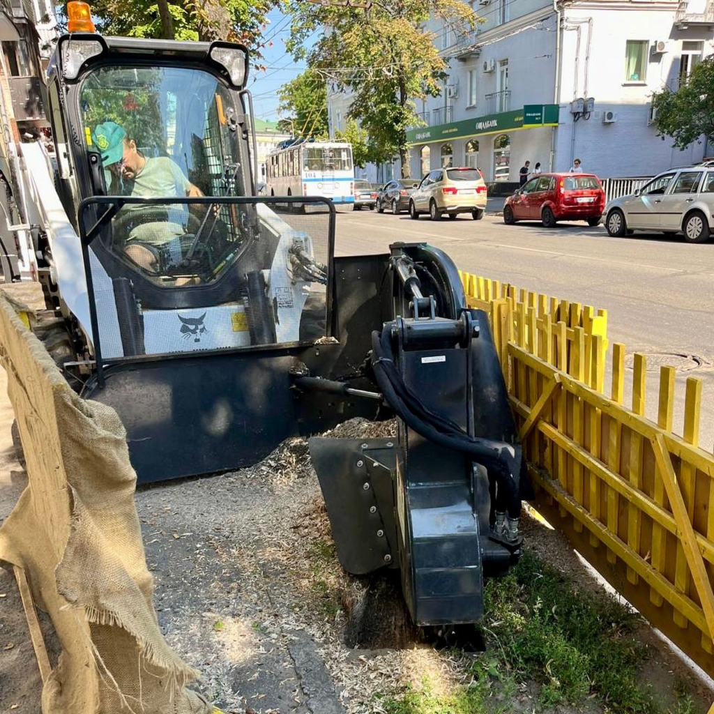 Нові дерева