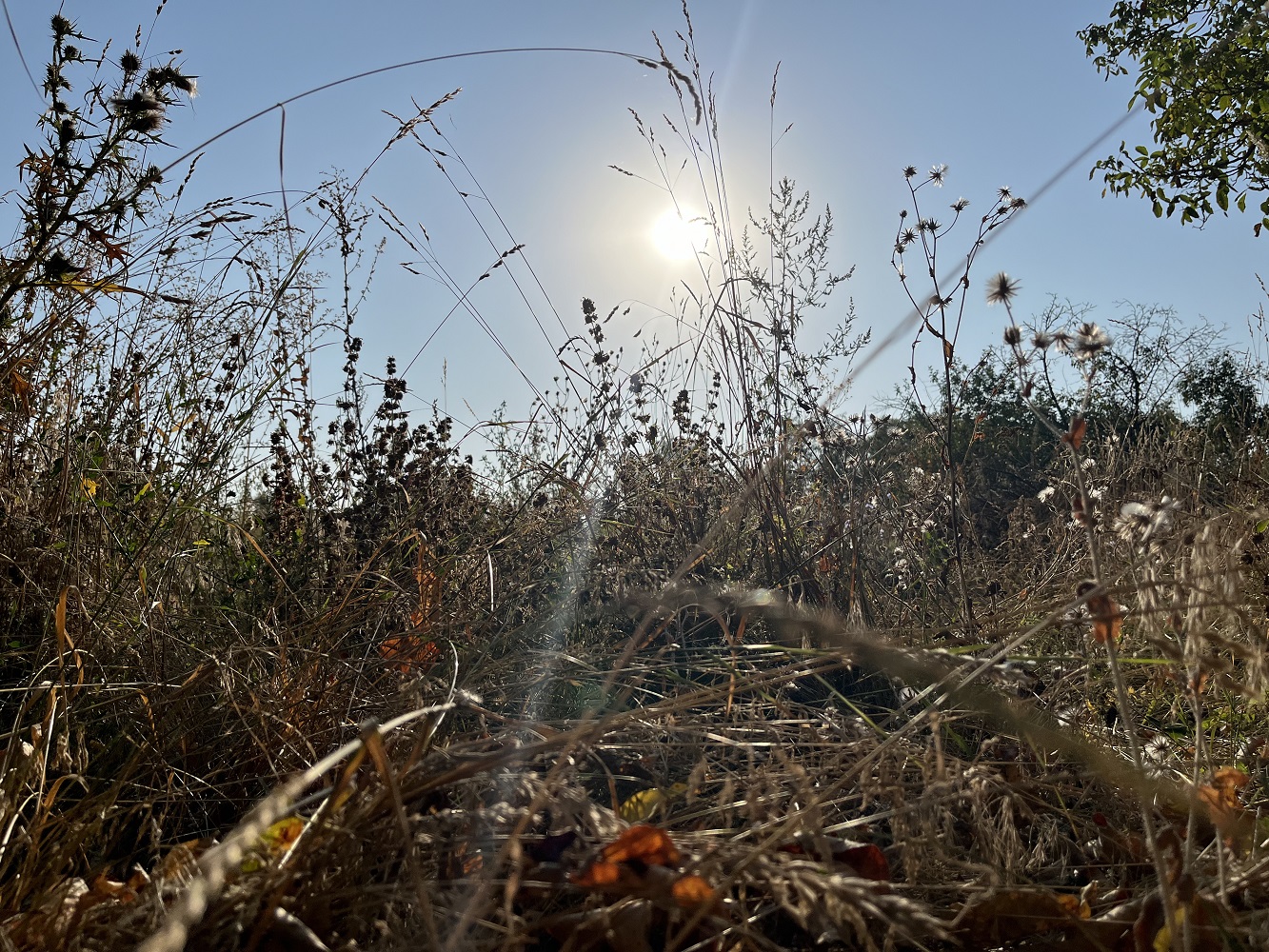 Ілюстративне фото