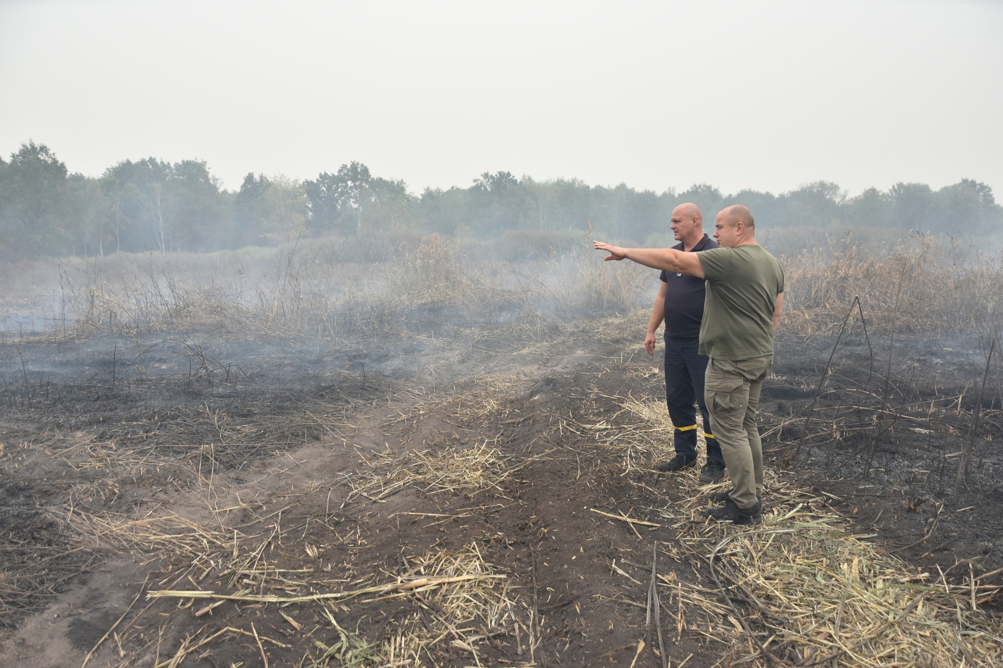 Пожежа на торфовищах у Пирятинській громаді