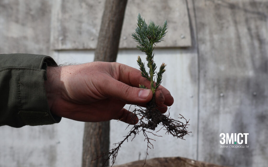 Ілюстративне фото