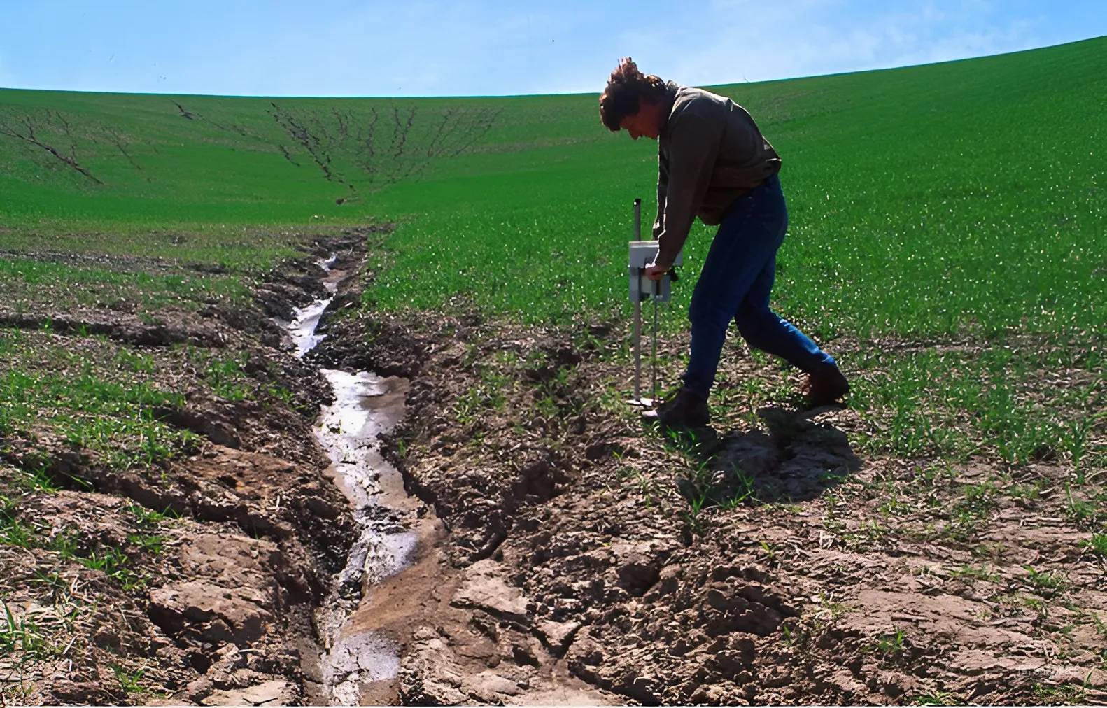 Ілюстративне фото