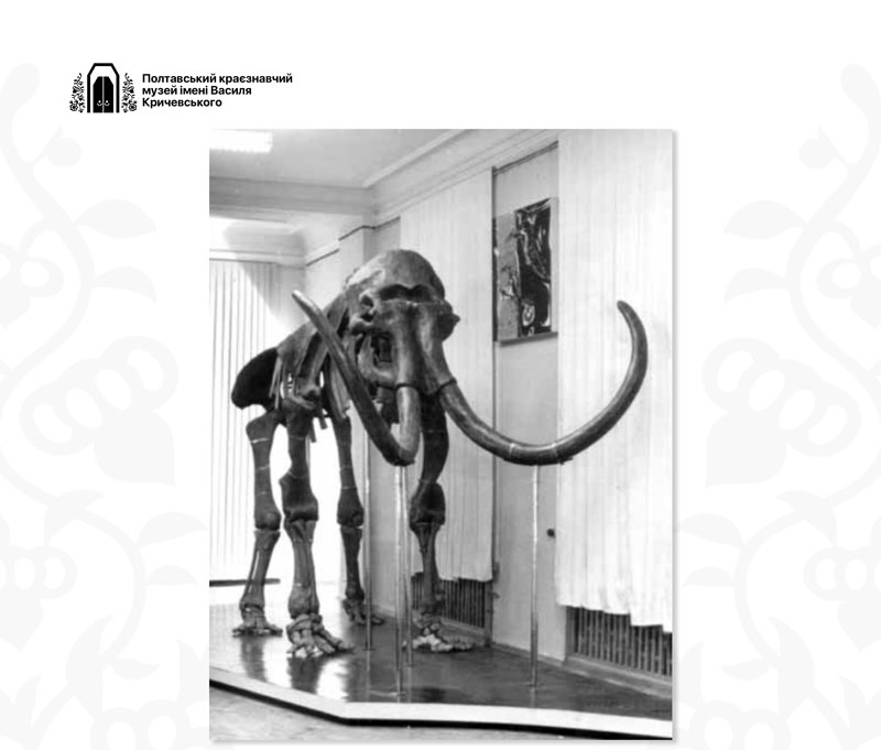 Колекція Катерини Скаржинської