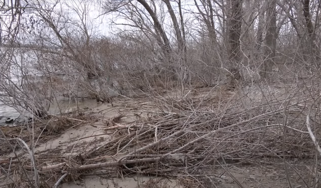 Мертві острови