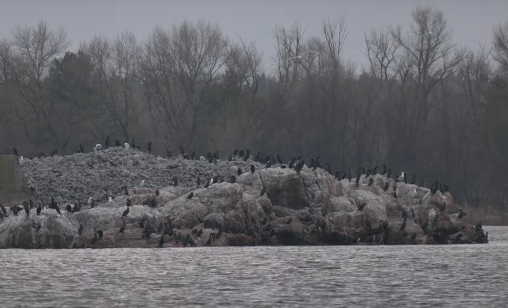 Мертві острови