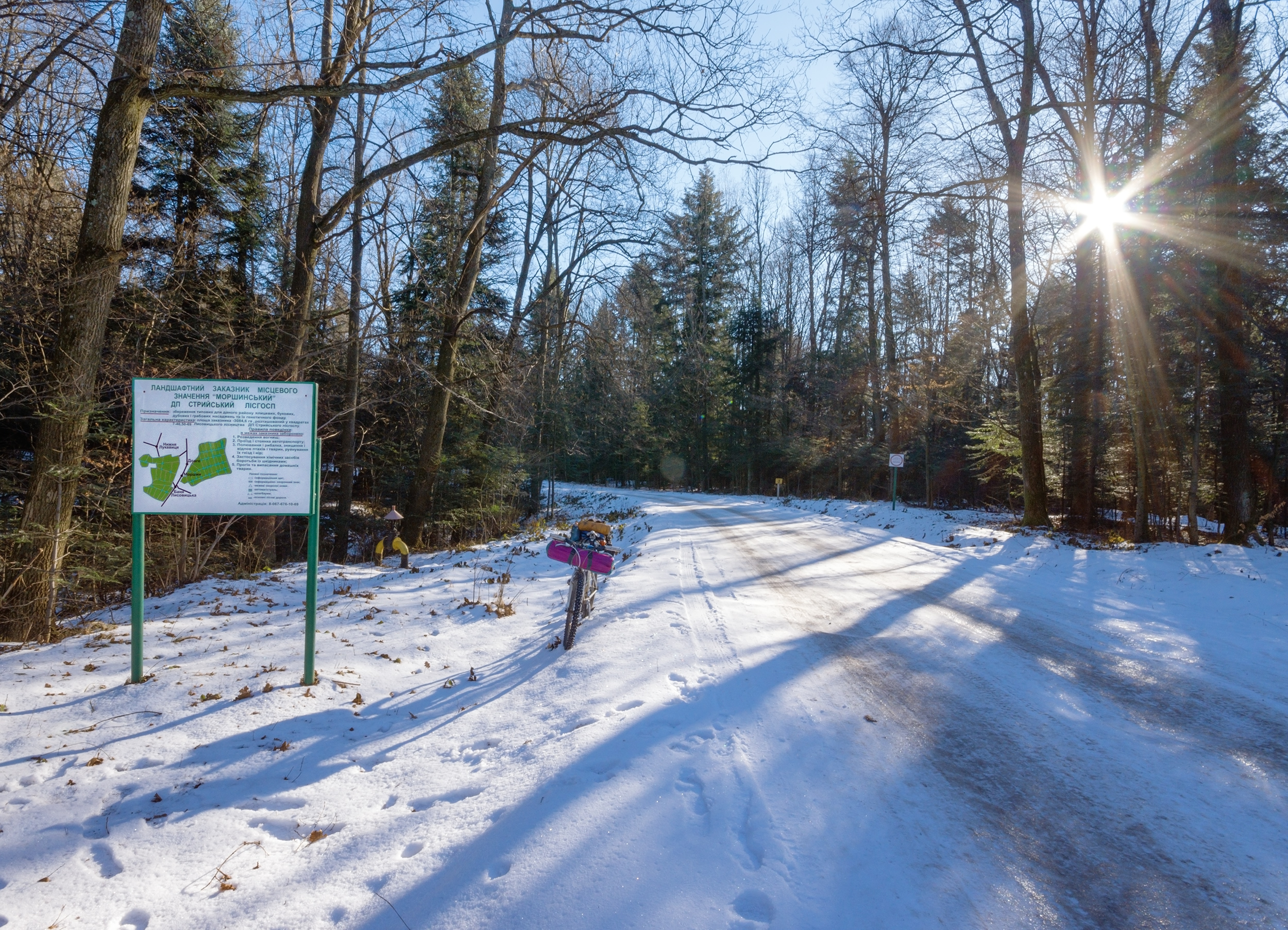 Ілюстративне фото. Моршинський заказник
