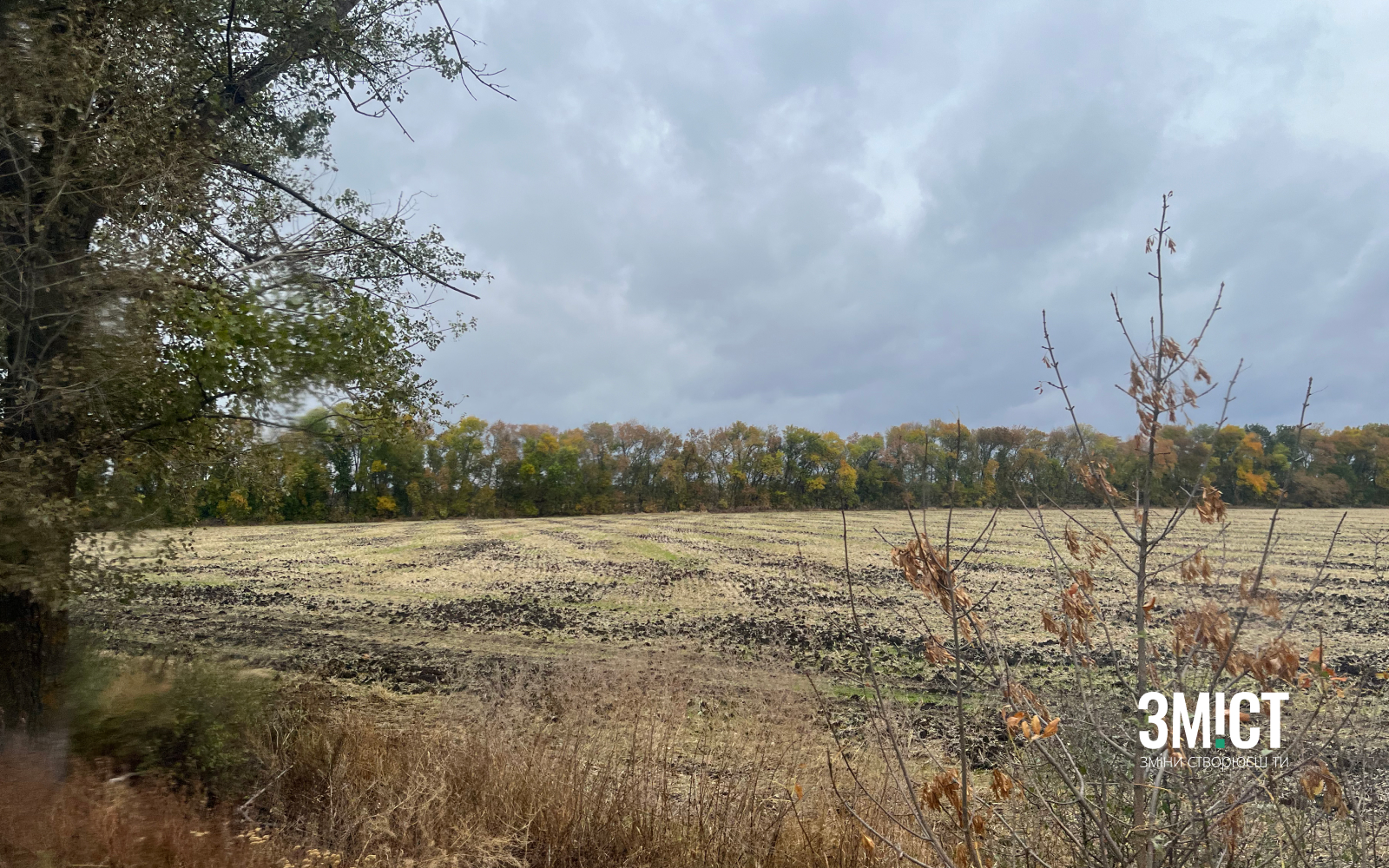 Ілюстративне фото