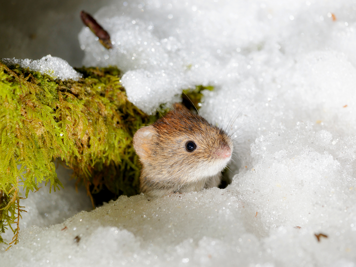 Ілюстративне фото