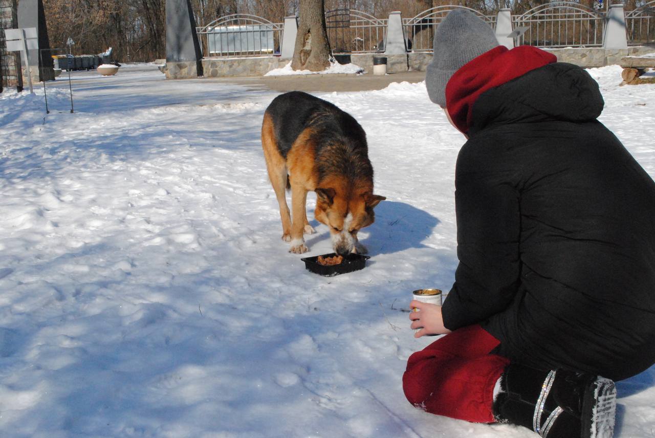 Пес Дендрик з Дарією Пятенко