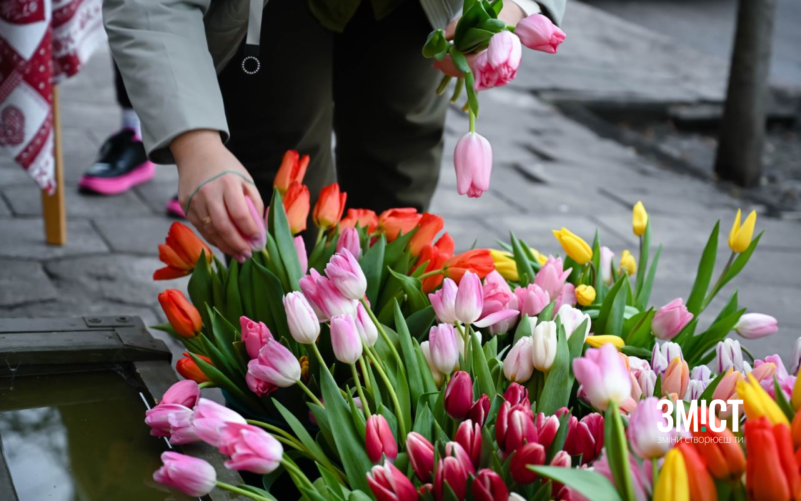 Потрібні волонетри на «Бандерівські тюльпани. Ілюстративне фото