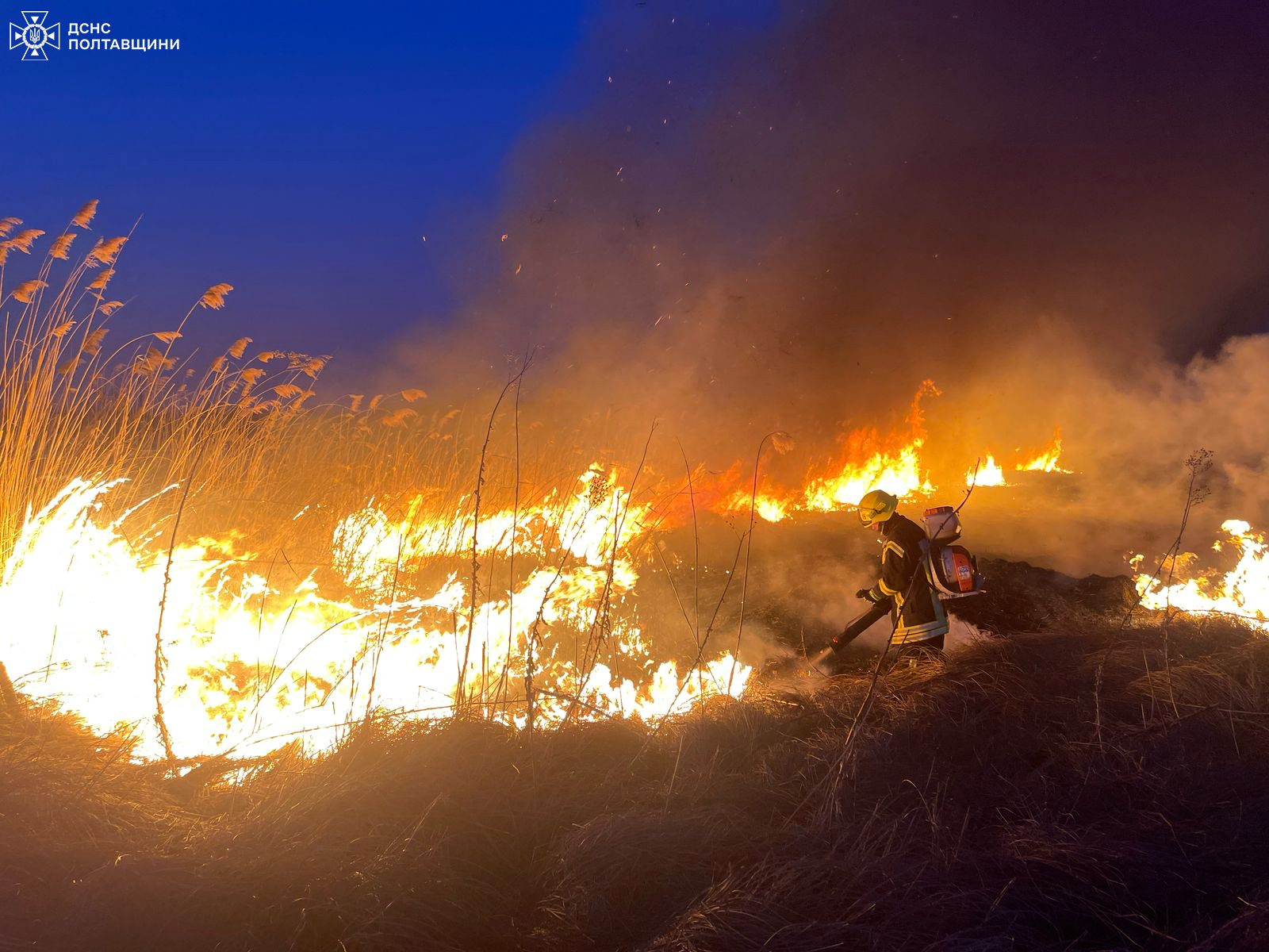 Ілюстративне фото. Рятувальники ліквідують наслідки підпалу сухої рослинності на Полтавщині
