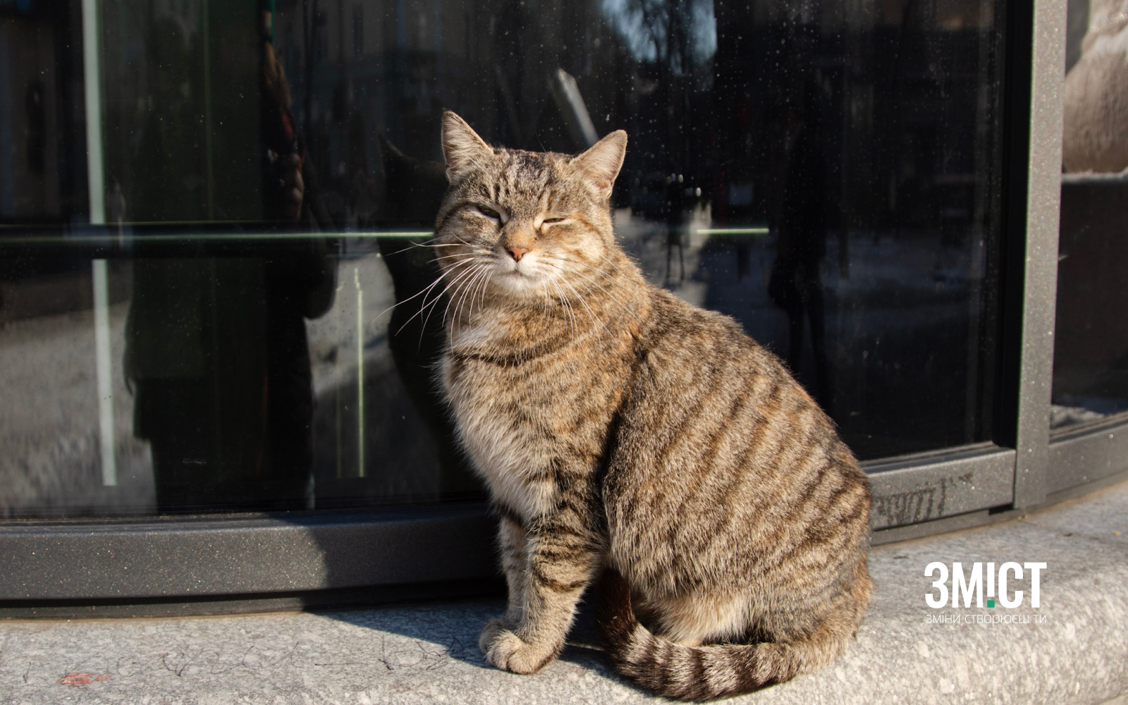 Ілюстративне фото