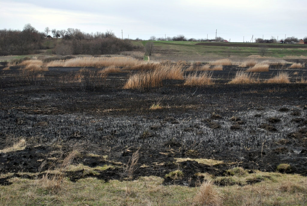 Спалювання трави на Полтавщині