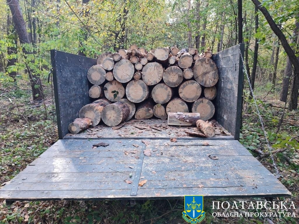Ілюстративне фото. Вирубування дерев на Полтавщині