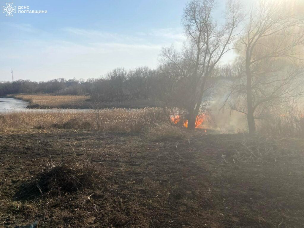 Масштабні пожежі