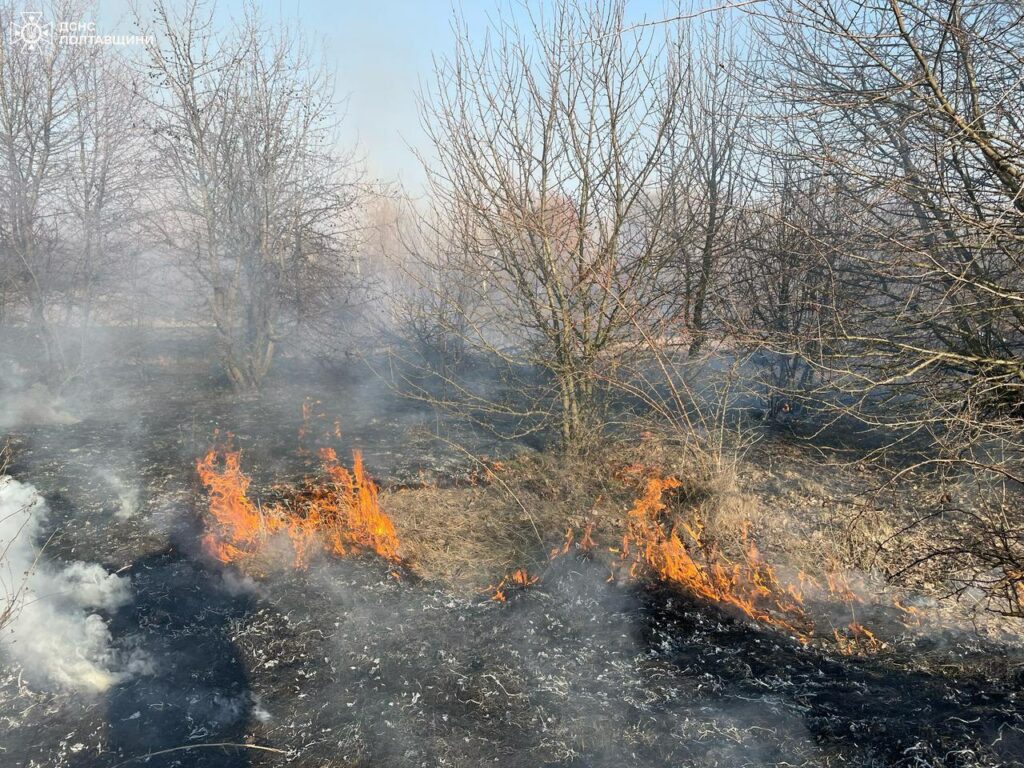 Масштабні пожежі