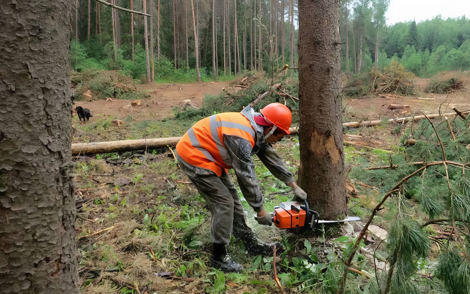 Ілюстративне фото