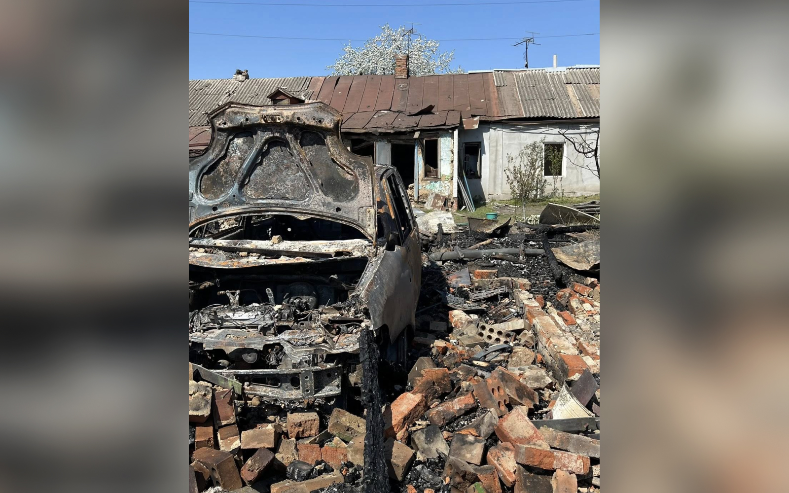 Пошкодження родини