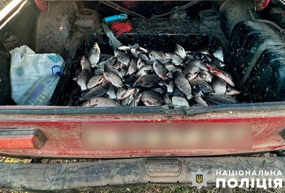 Виловлена бракон’єром риба