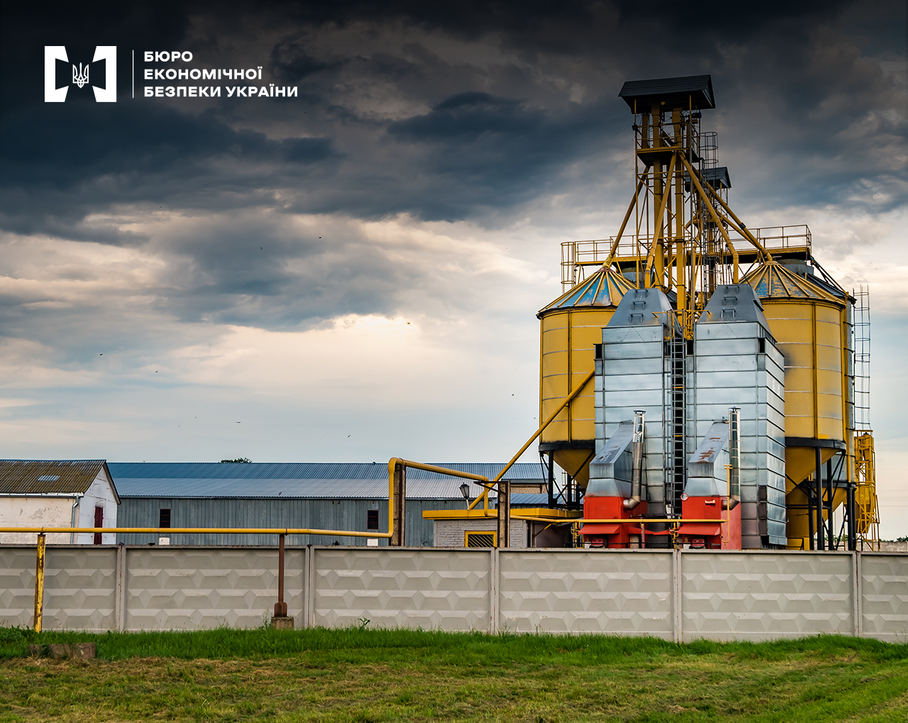 На Полтавщині завершили розслідування схеми привласнення зерна