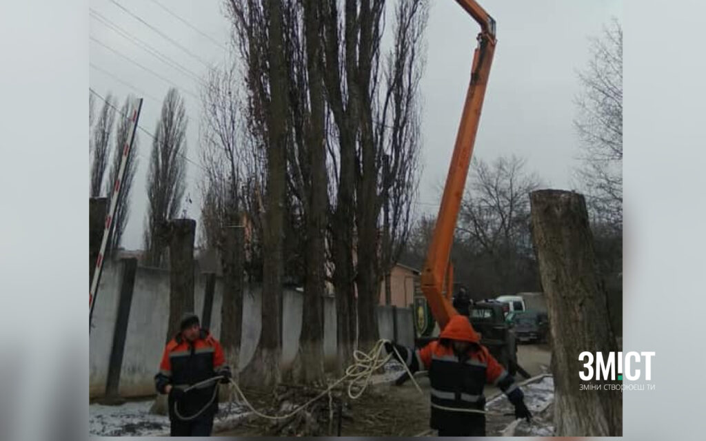 Тополі у Полтаві