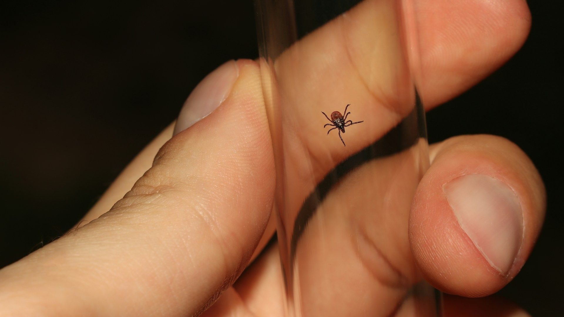 Ілюстративне фото