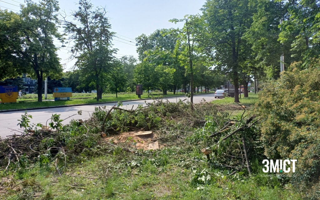 Спилюють аварійні дерева