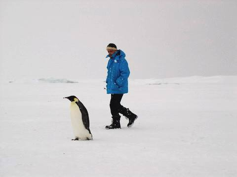 Полярник Павло Буданов