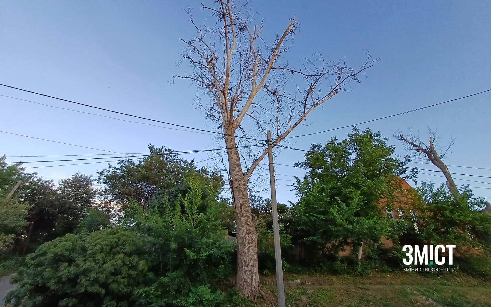 Ілюстративне фото