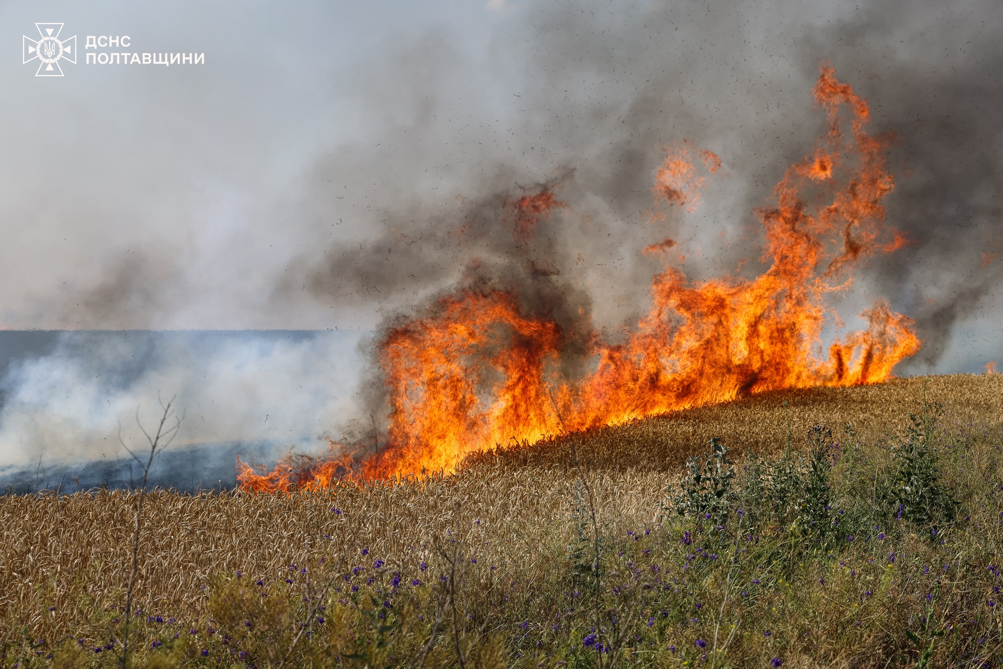 Ліквідація наслідків пожежі