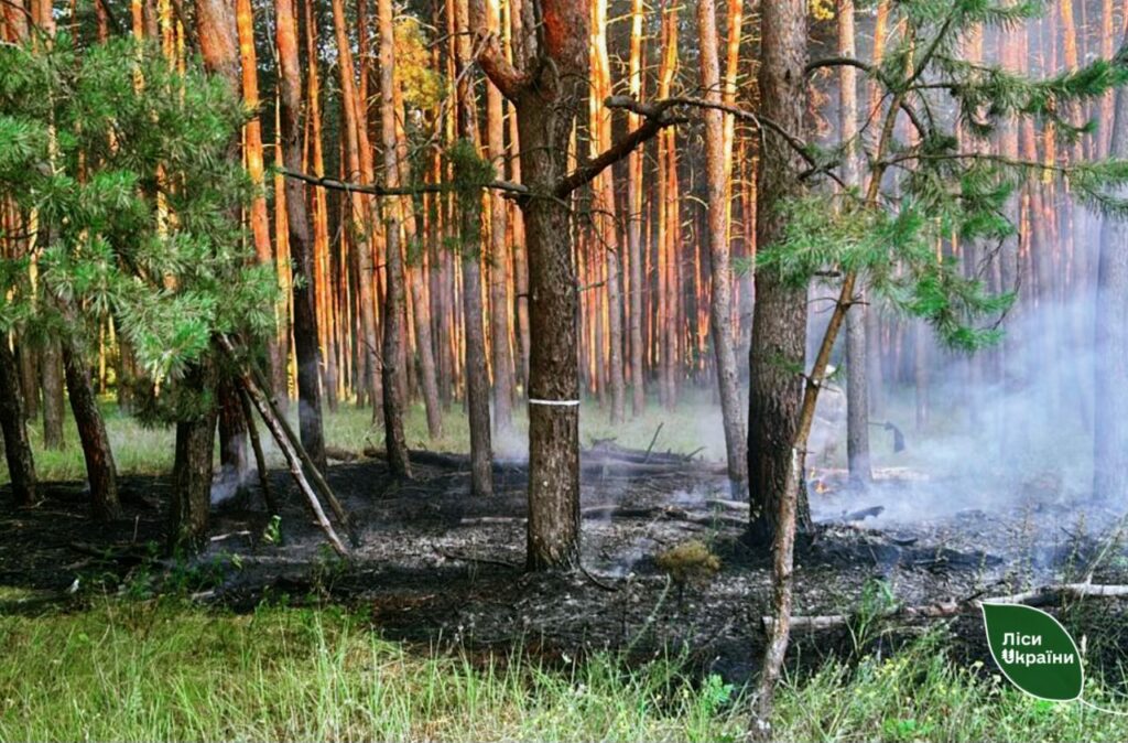 пожежі на Полтавщині горить ліс