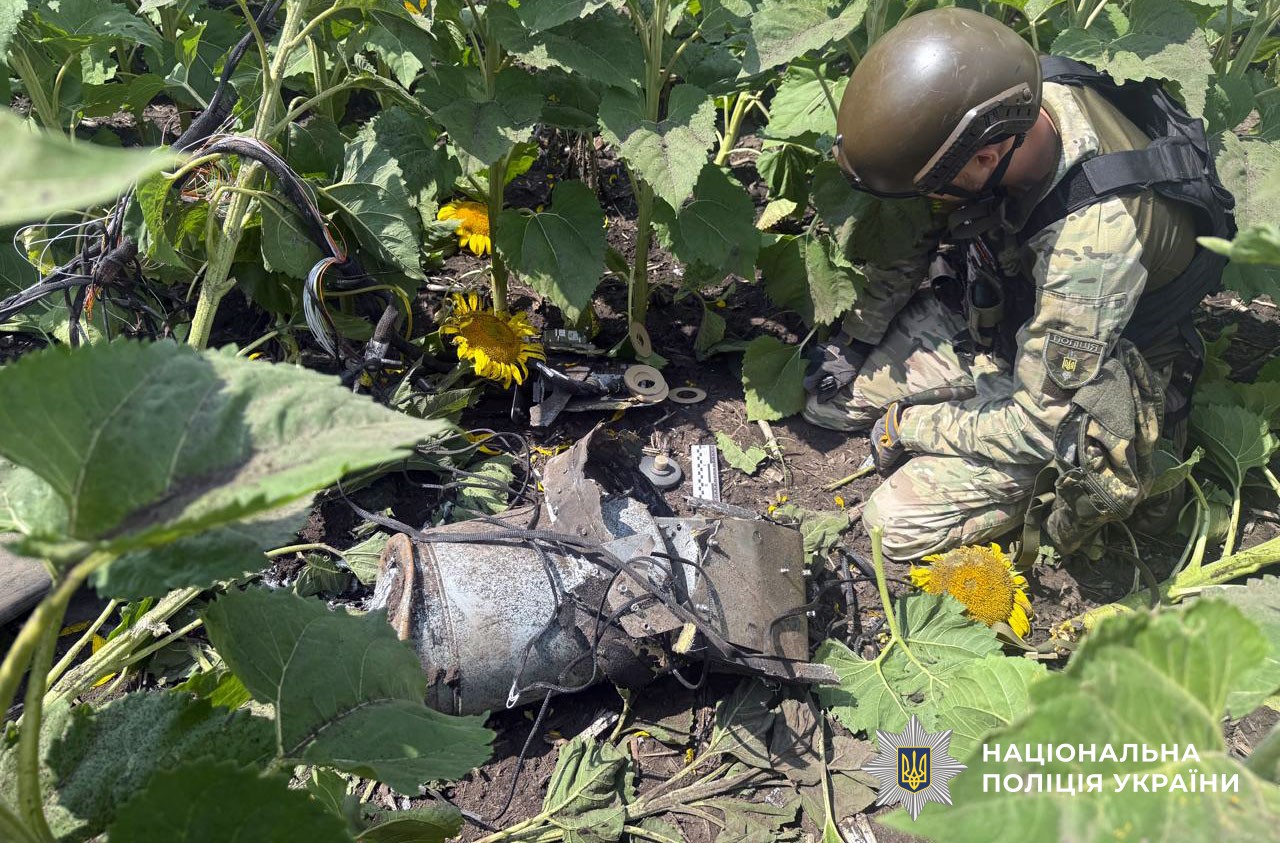 Знешкодження російського дрона
