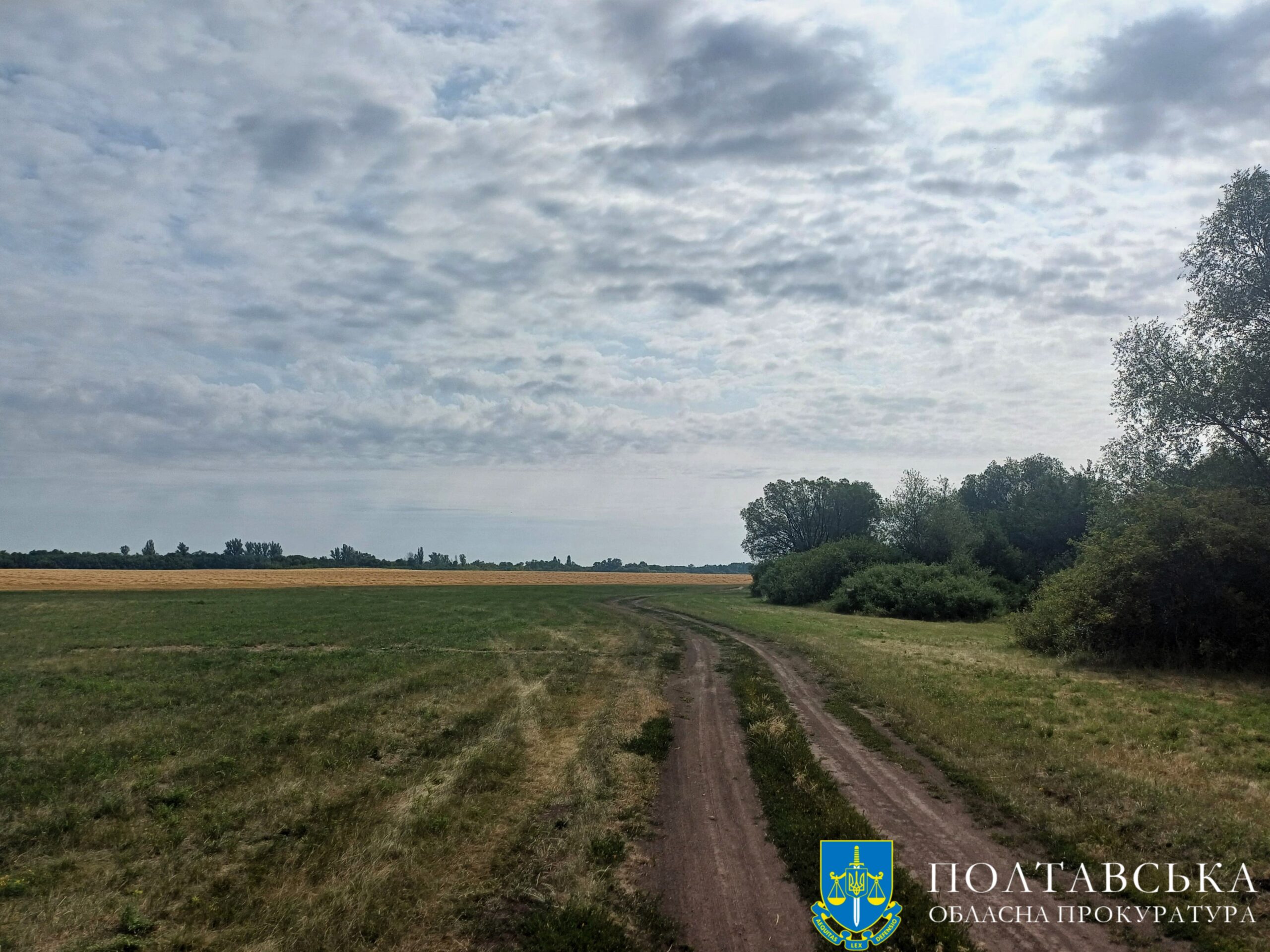 db5393fd_f7ac_4e48_9e49_a79a890f298c