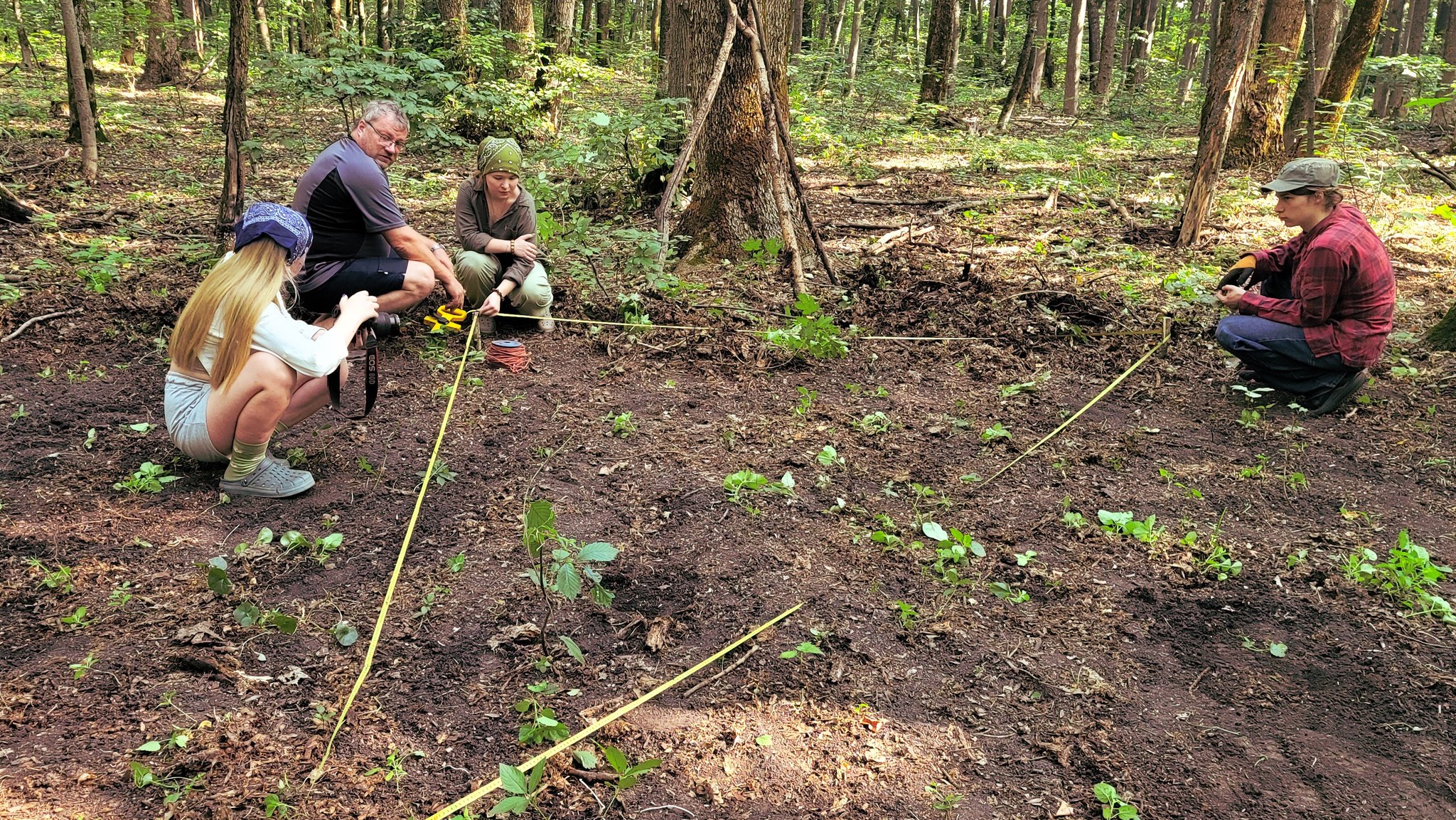 Дослідження в Більську.