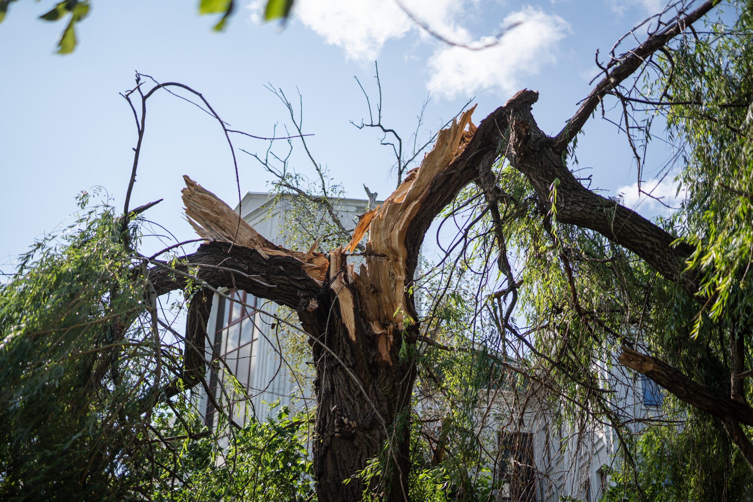 Ілюстративне фото