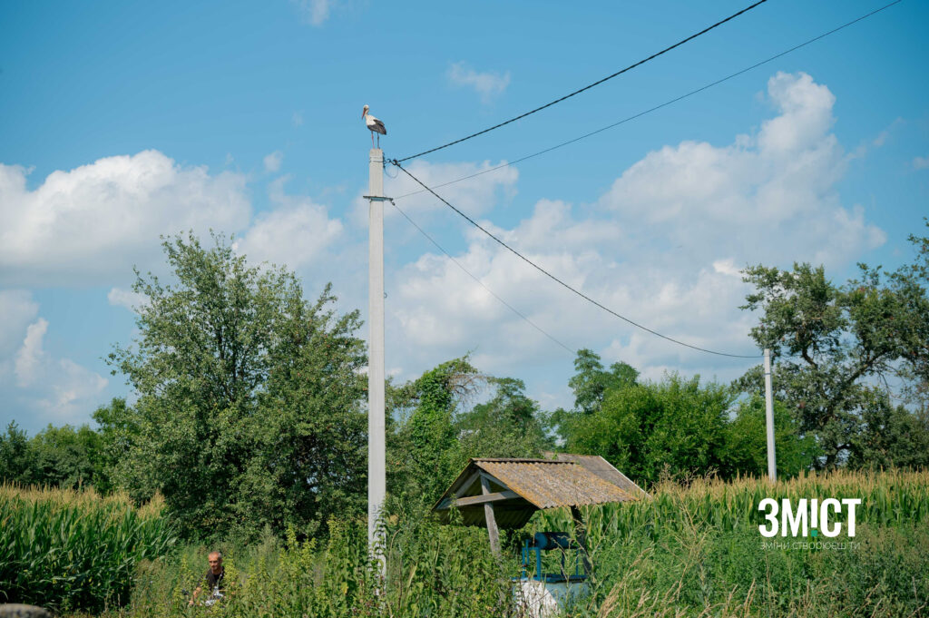 Лелеки в Леляках