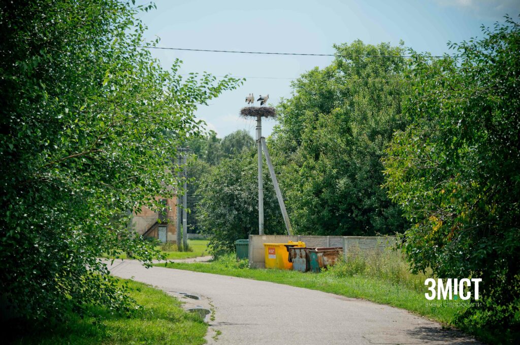 Лелеки в Леляках