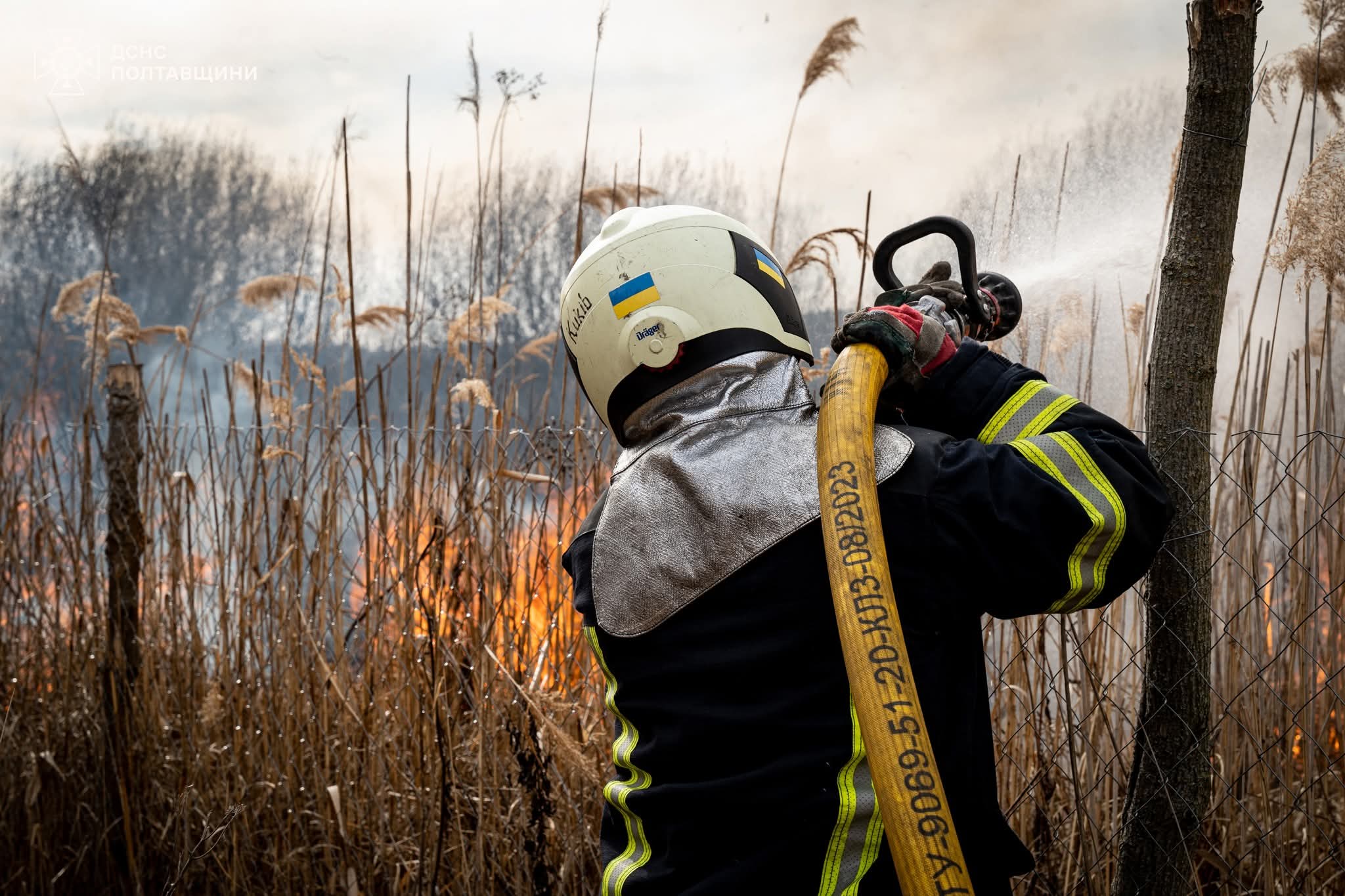 Ілюстративне фото