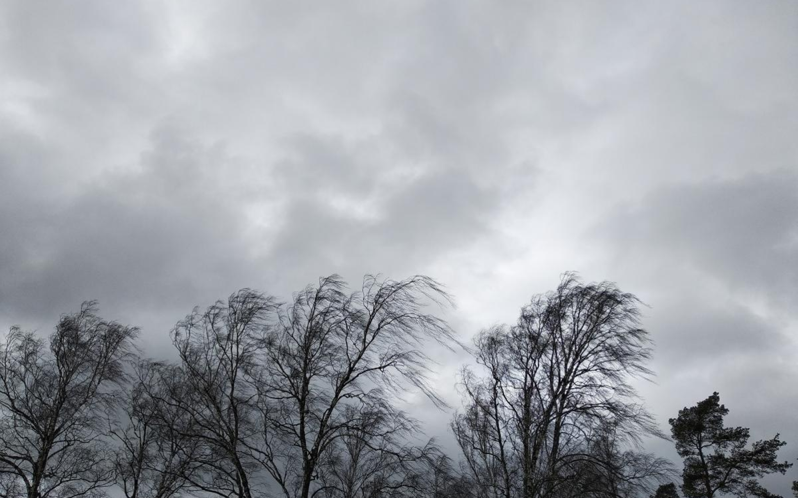 Ілюстрація сильного вітру.