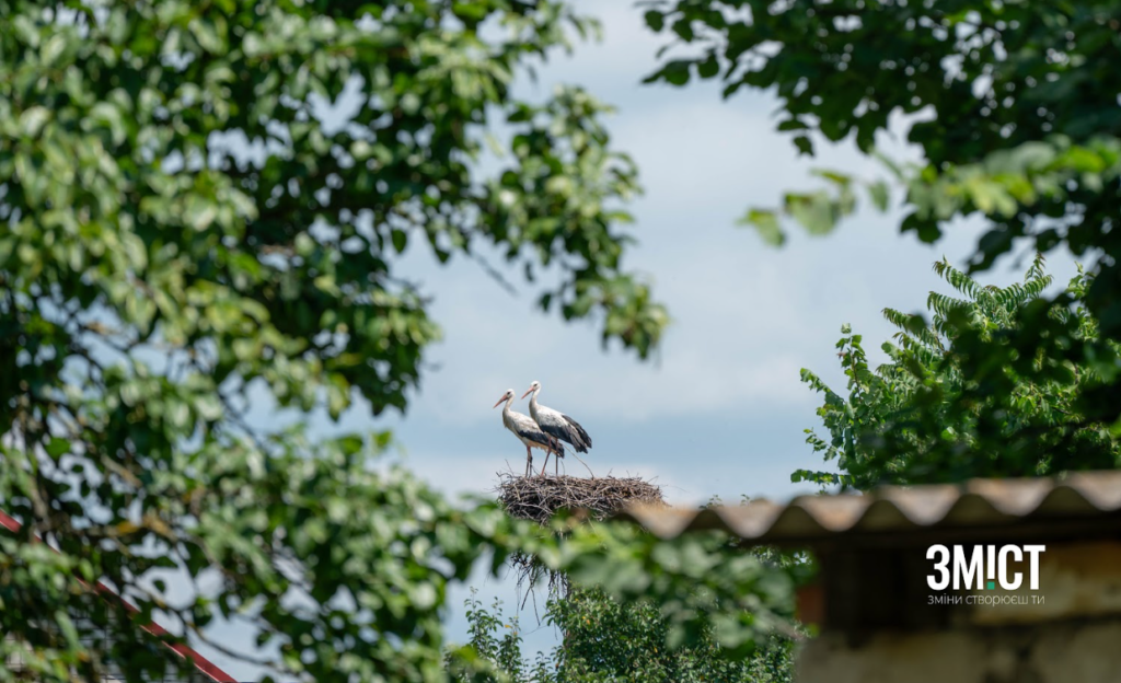 Лелеки в Леляках