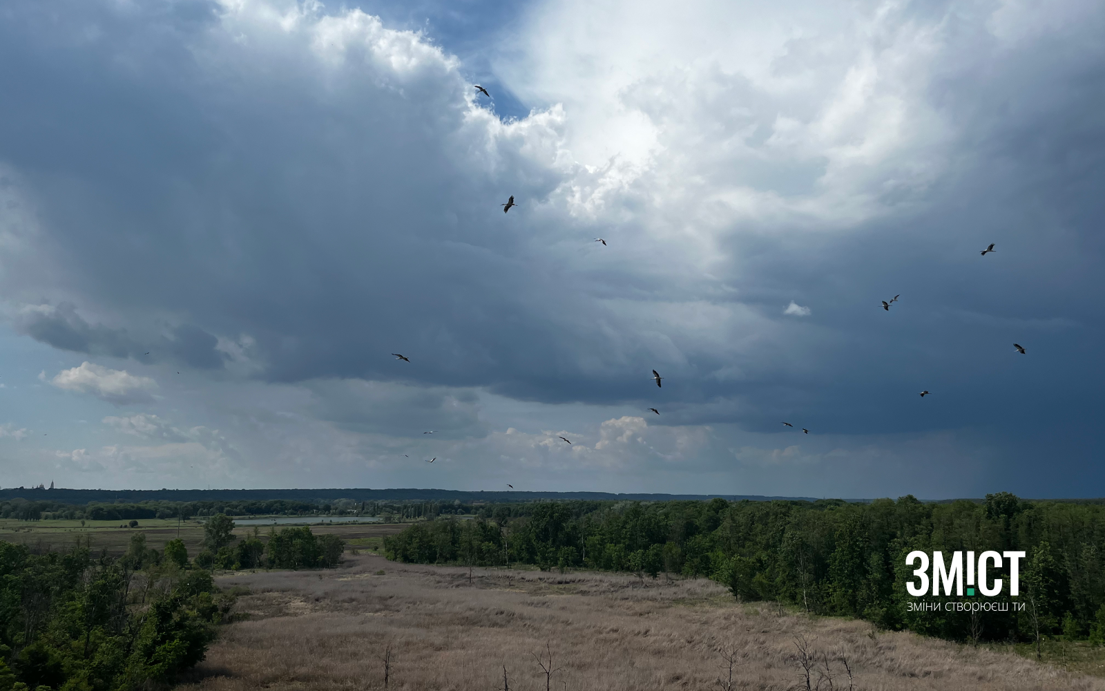 Ілюстративне фото