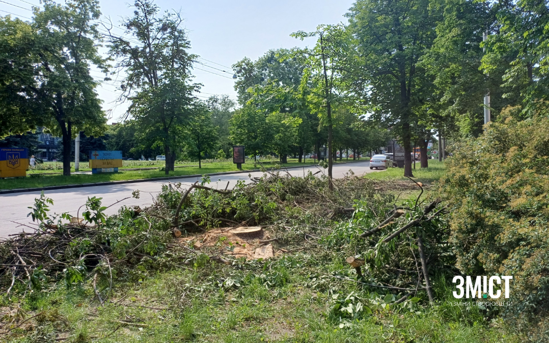 Ілюстративне Фото