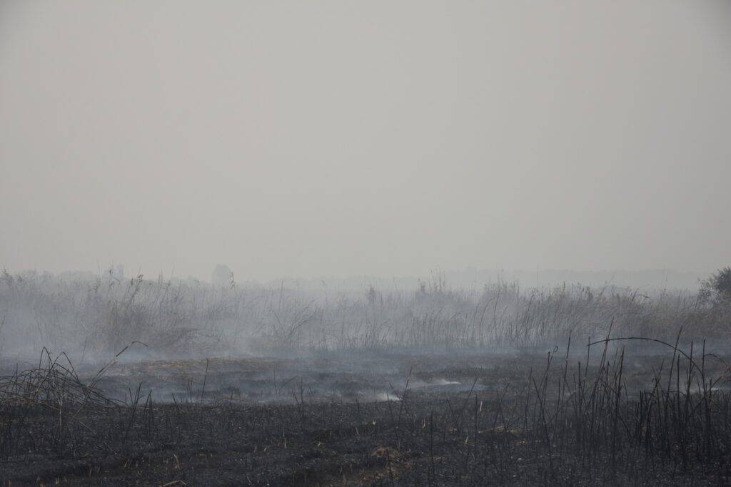Наслідки торф’яної пожежі. Ілюстративне фото