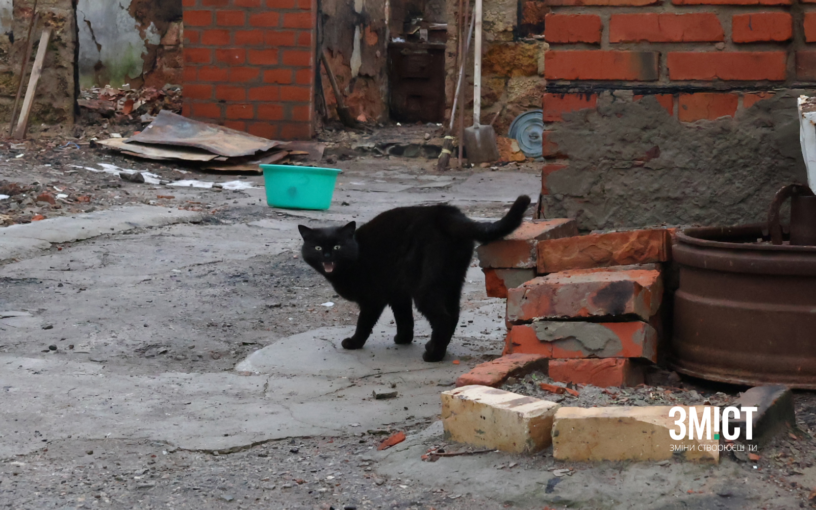 Ілюстративне фото